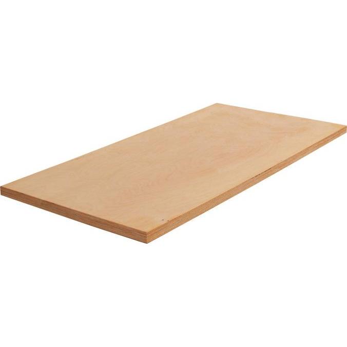 VAR, Werkbank Zubehör, Arbeitsplatte Buche 2er T:69 cm (Holz)