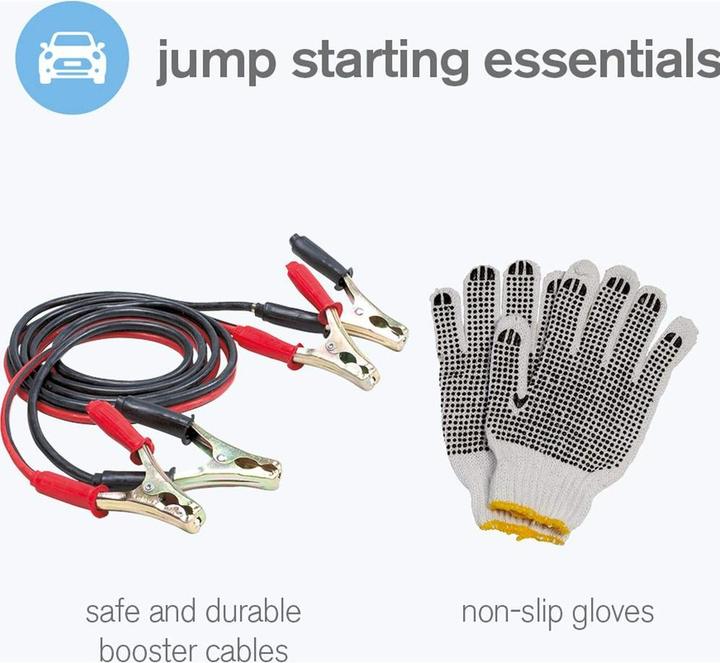 Actual product image Ring Automotive RCT2