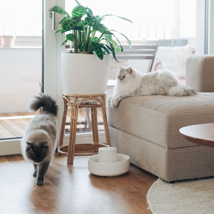 Produktbild LucyBalu TREVI Trinkbrunnen (2.80 l)