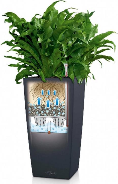 Immagine prodotto Lechuza Colore Cubico (22 cm)