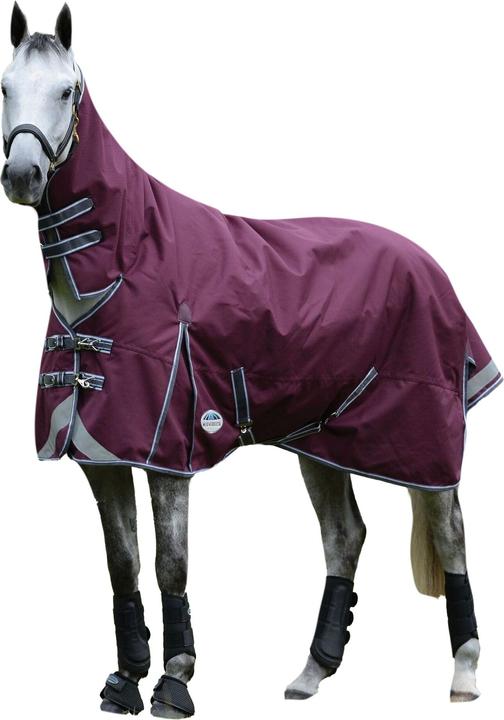 Immagine prodotto Weatherbeeta Tappeto per cavalli Comfitec Plus Dynamic II ComboCollar