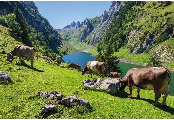 Image du produit Ravensburger Fälensee (1000 pièces)