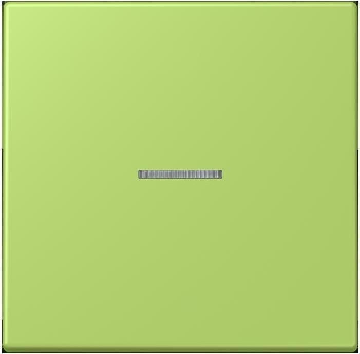 Actual product image JUNG Button