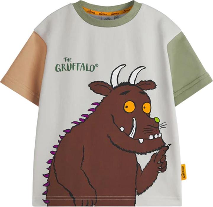 Actual product image The Gruffalo Boys Colour Block T-Shirt & Shorts Set (104)