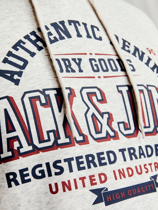 Actual product image Jack & Jones JJELOGO SWEAT HOOD 2 COL 24/25 NOOS PLS (7XL)