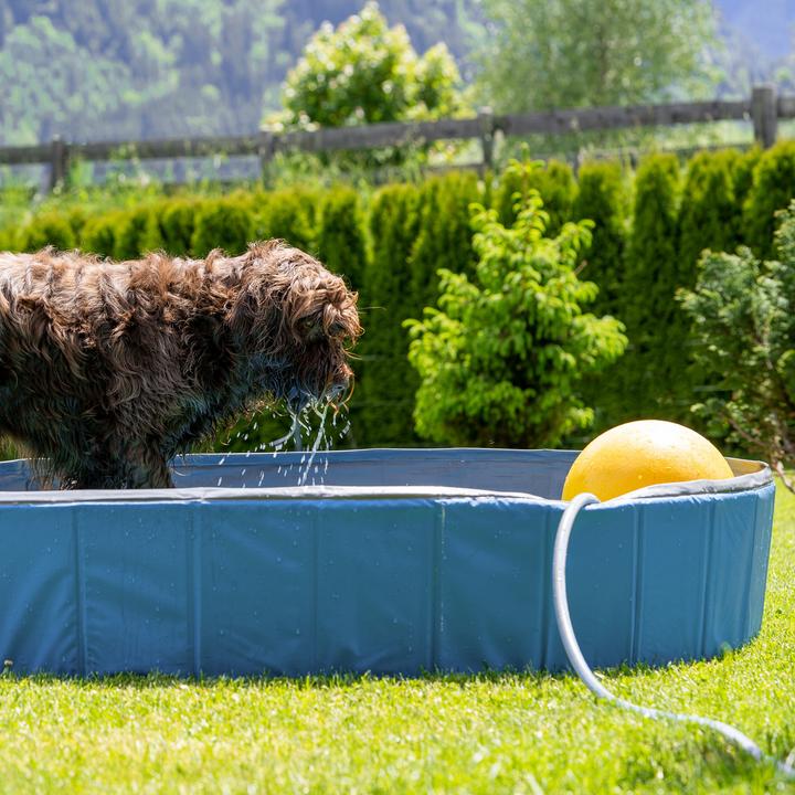 Immagine prodotto Relaxdays Piscina per cani (Piscina per cani)