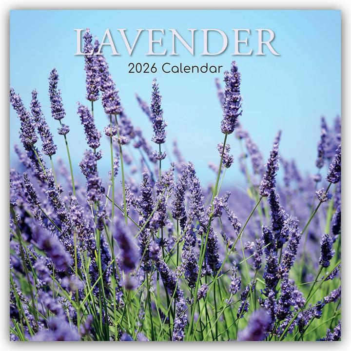 Image du produit Gifted Stationery Co. Ltd:Lavender - La (30,5 x 30,5 cm)