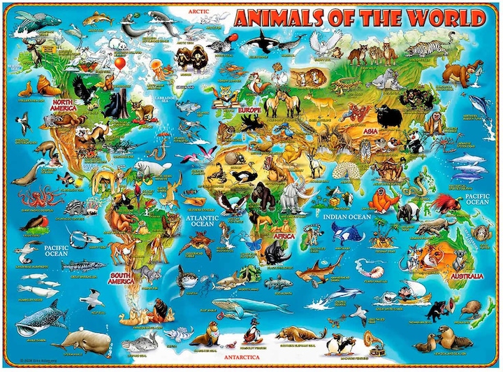 Produktbild Ravensburger Tiere über die Welt Puzzle (300 Teile)