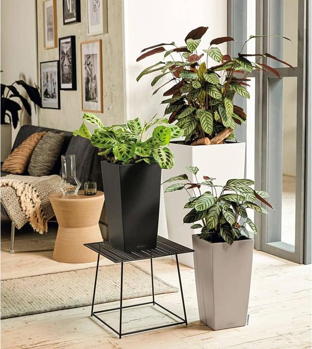 Produktbild Lechuza Cubico (39.50 cm)