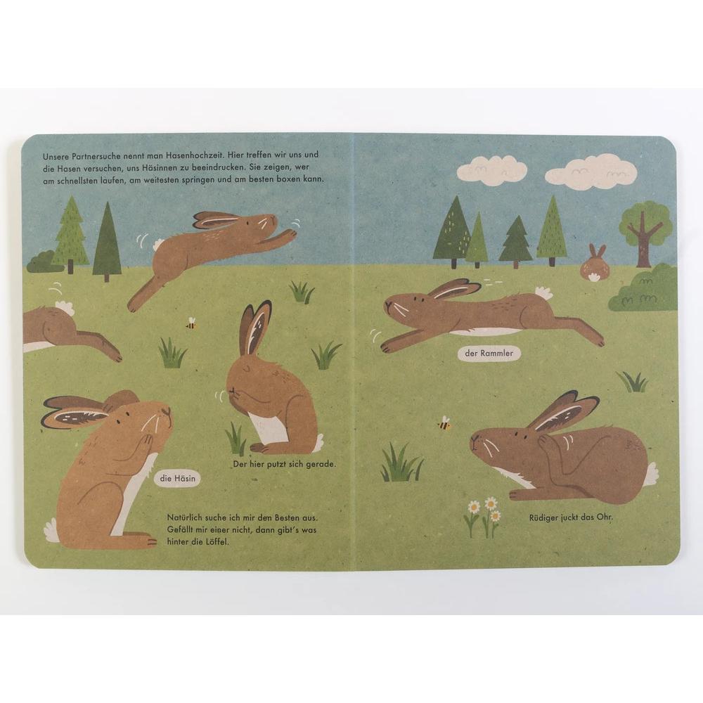 Thumbnail - Ich bin der Hase, Kinderbücher von Katrin Wiehle