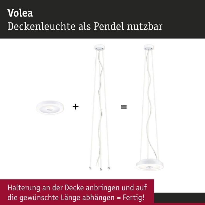 Image du produit Paulmann Suspension Volea