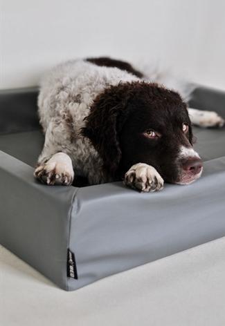 Actual product image Bia 6 (Dog)