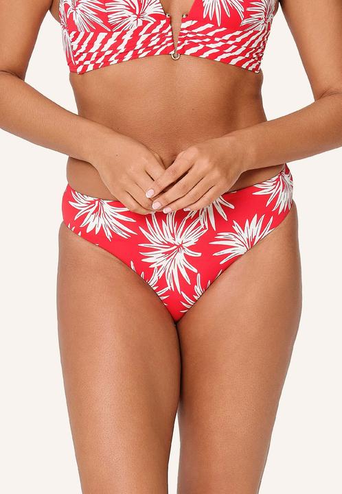 Immagine prodotto LingaDore Bikini Slip (40)