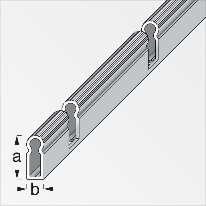Image du produit Alfer Profilé support Alu 1m