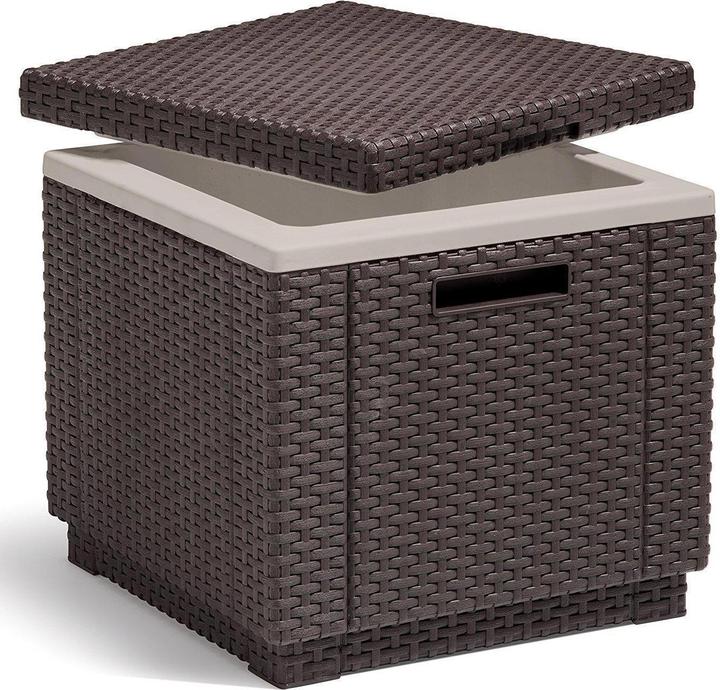 Actual product image Allibert Ice Cube (40 l)