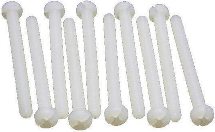 Actual product image EP M4x6 nylon screw (10 Screws per piece)