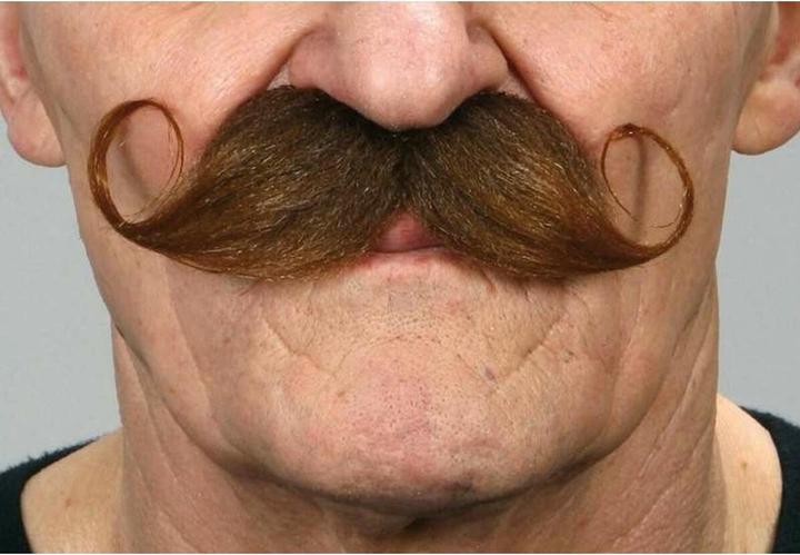 Produktbild My Other Me Schnurrbart