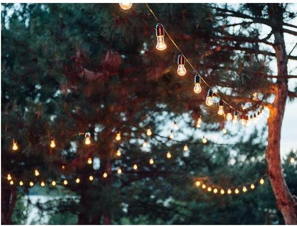 Image du produit X-mas & Gadget light - ropelight GUIRLANDE DE FÊTE À LED - 20 x DOUILLE E27 - SANS AMPOULES - 10 m (10 m)