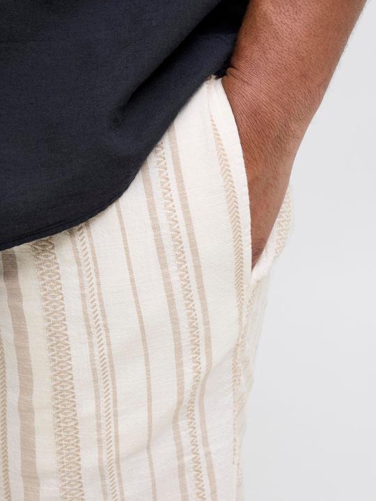 Produktbild Jack & Jones Plus Size Relaxed Fit Relaxed Fit Shorts Relaxed Fit Shorts (48)