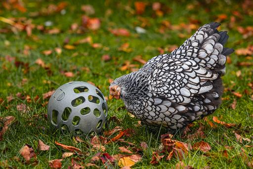 Produktbild Beeztees Huehner Snackball