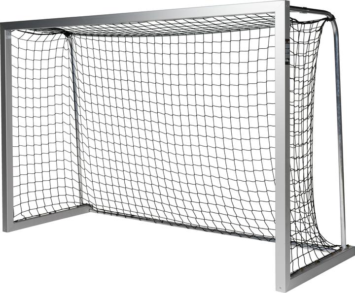 Sport-Thieme Kleinfeld-Fussballtor BlueGoal