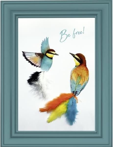 Actual product image Ursus Feathers 100g, Multicoloured