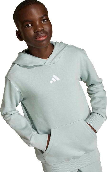 Produktbild Adidas Kid's Essentials Hoodie (152)