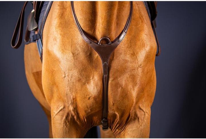 Image du produit Dy'on Collier de chasse pour cheval à pont