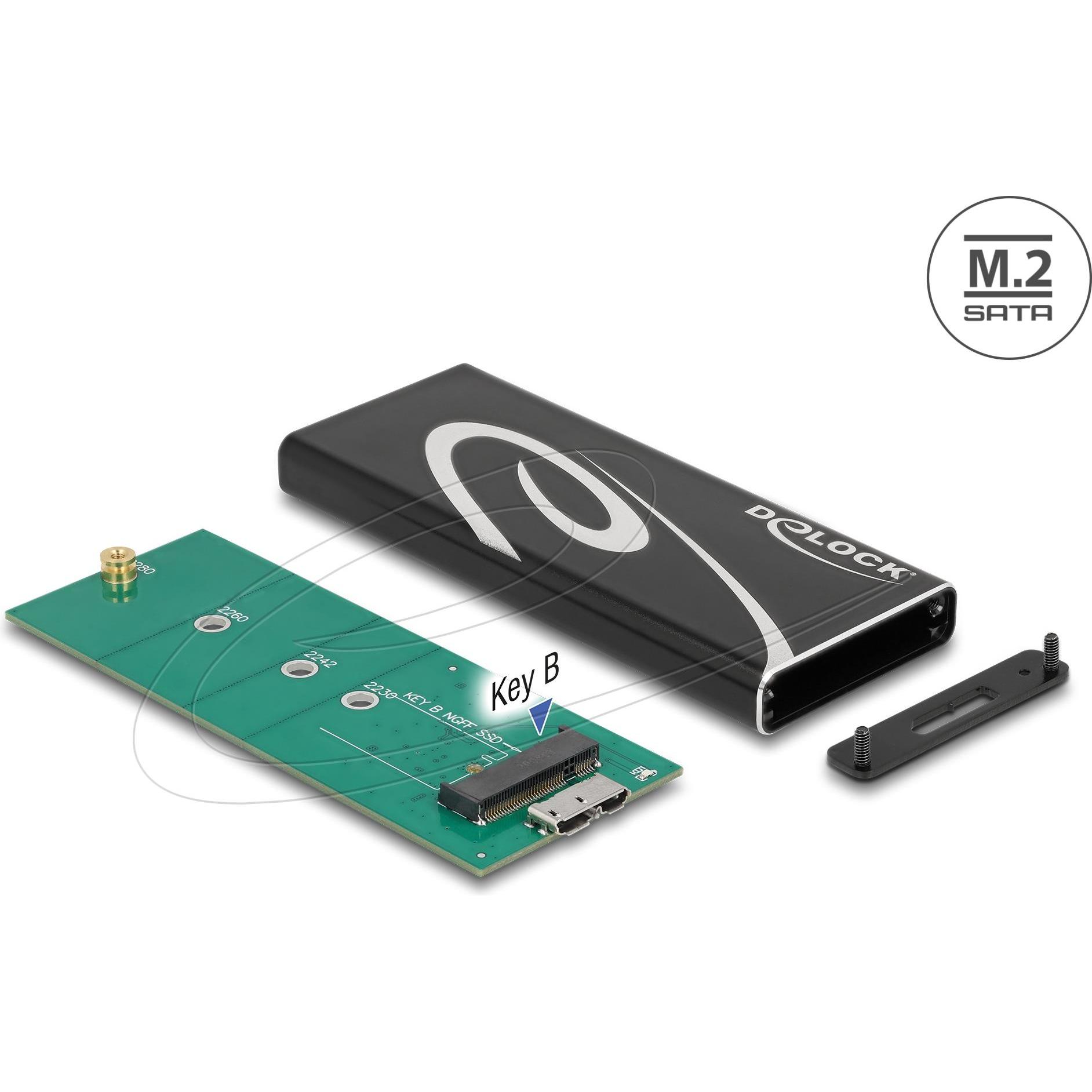 Delock Alloggiamento esterno 42007 (M.2 2260, M.2 2280), Case per hard disk, Nero