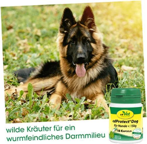 Produktbild cdVet Hunde-Nahrungsergänzung cdProtect Dog, > 10 kg, 24 Kapseln (Adult, 24 Stk., 150 g)