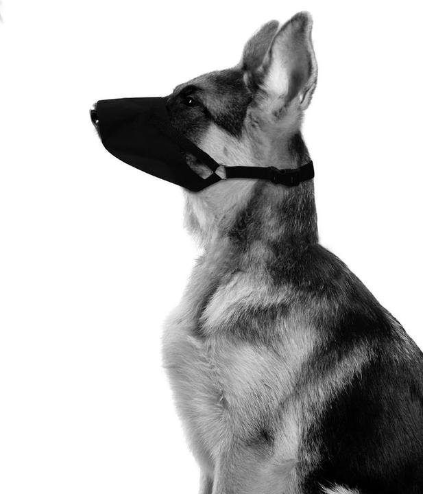 Actual product image M-Pets Flexi Dog Muzzle (S, Dog)