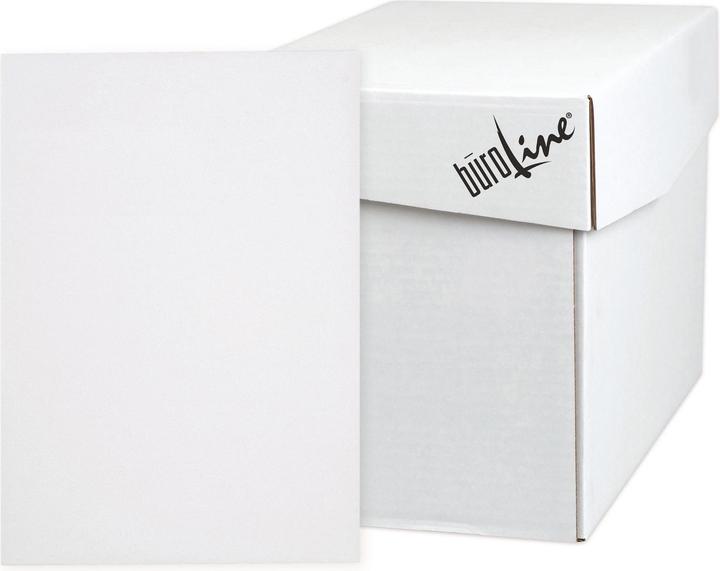 Actual product image BüroLine Envelope (C4, 250 x)