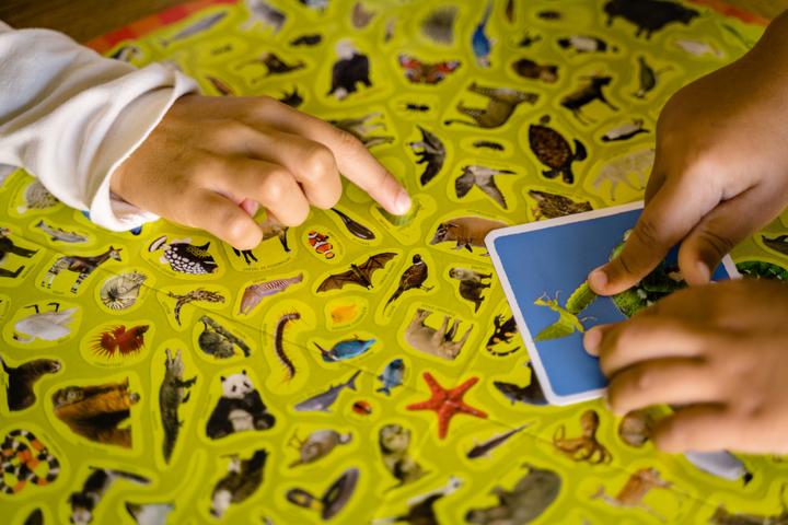 Actual product image Nathan Mission animaux board game Fine motor skill (dexterity) (French)