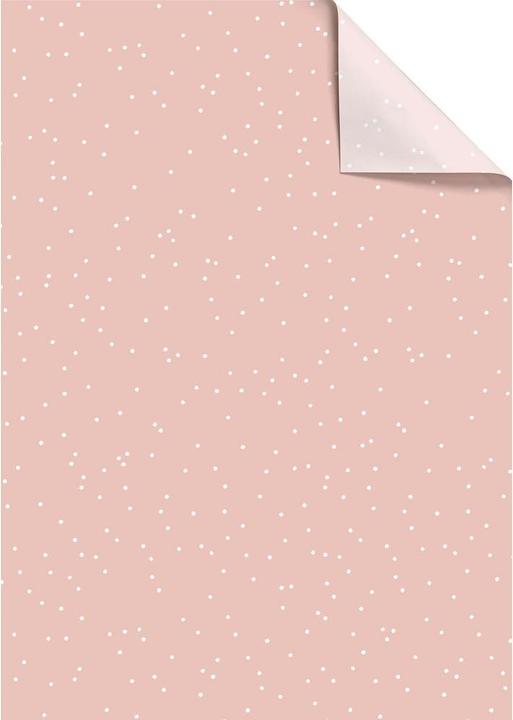 Stewo Seidenpapier (5x)