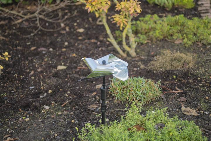 Produktbild Gardigo Vogel - Frei Windmühle