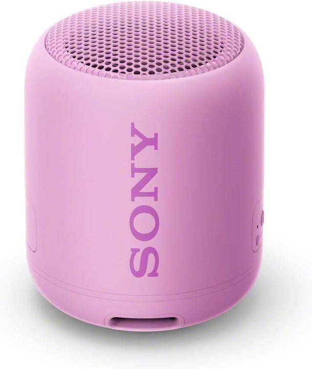 Sony SRS-XB12 (16 h, Rechargeable battery operated)