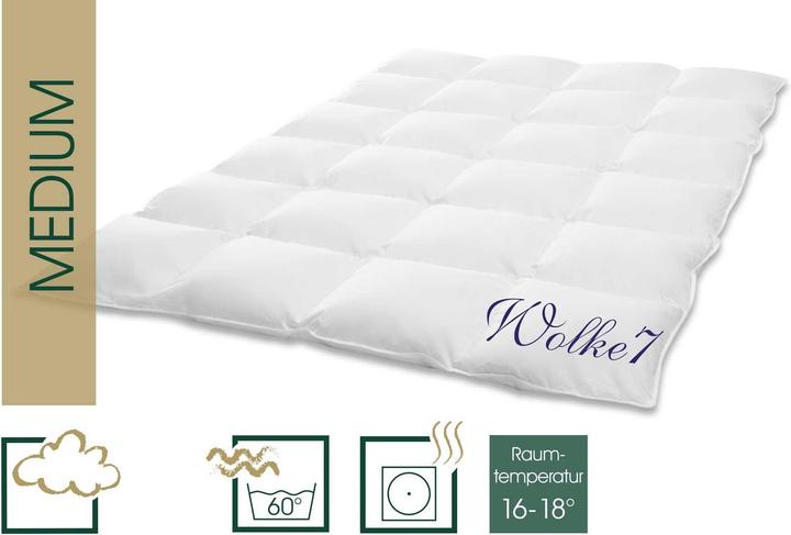 Actual product image Hanskruchen Wolke 7 (1740 g, 260 x 220 cm)