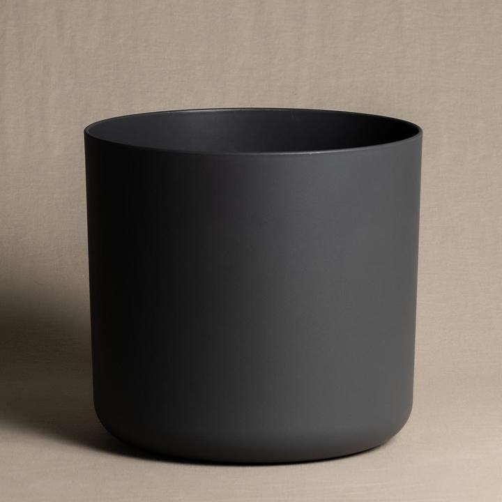 Actual product image feey Lumi (25.20 cm)