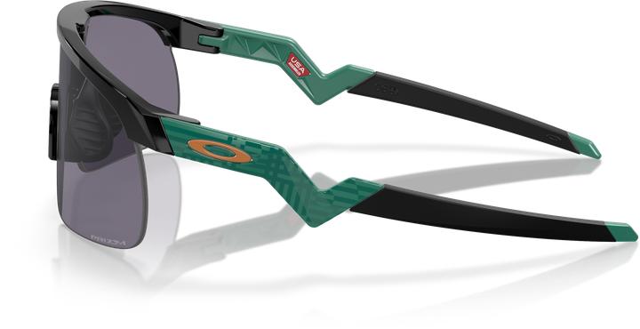 Produktbild Oakley Resistor (Black, Prizm Grey)