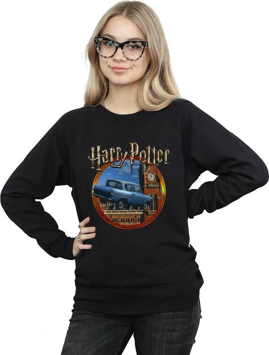 Produktbild Flying Car Sweatshirt (XXL)