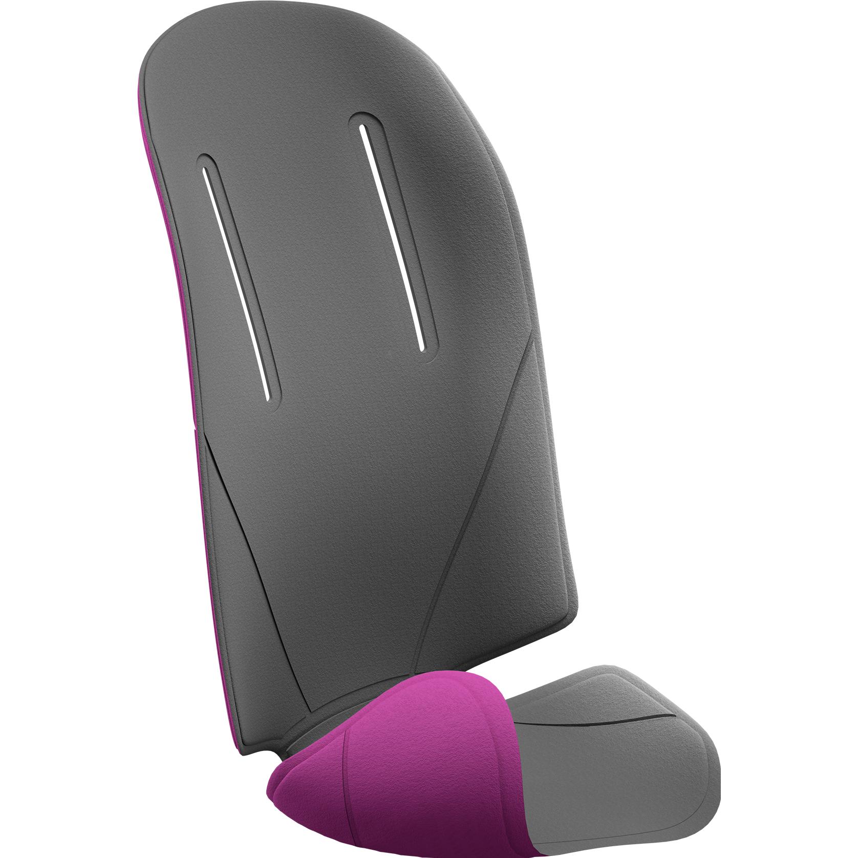 Thule RideAlong Padding Grey/purple (100402)