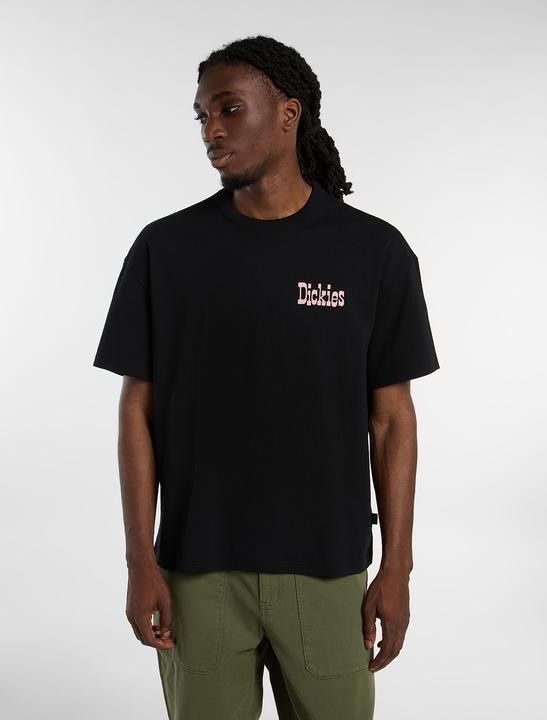 Produktbild Dickies Polk Ss Tee (M)
