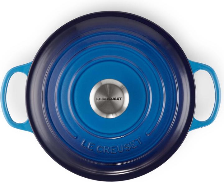 Actual product image Le Creuset Signature (24 cm, Casserole + Stewpot, Enamel)