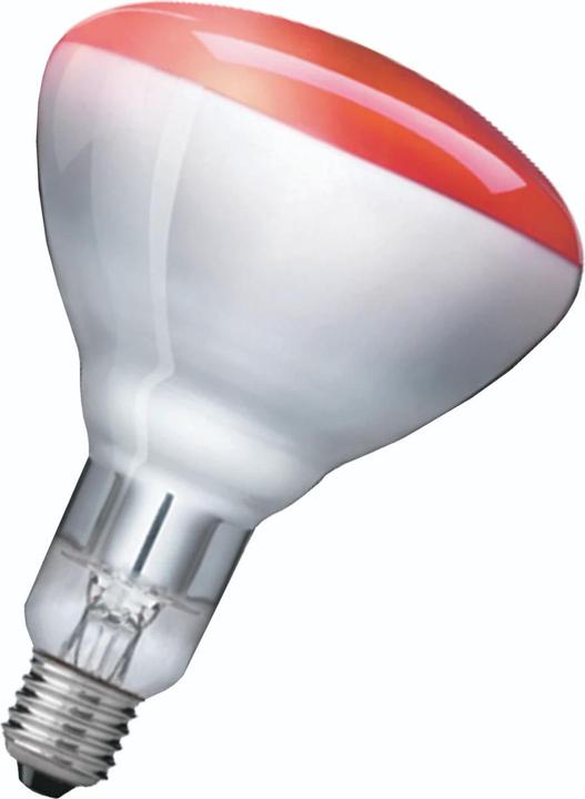 Philips Infrared lamp BR125 (250 W)