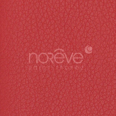 Tomato ( Pantone #a61715 )