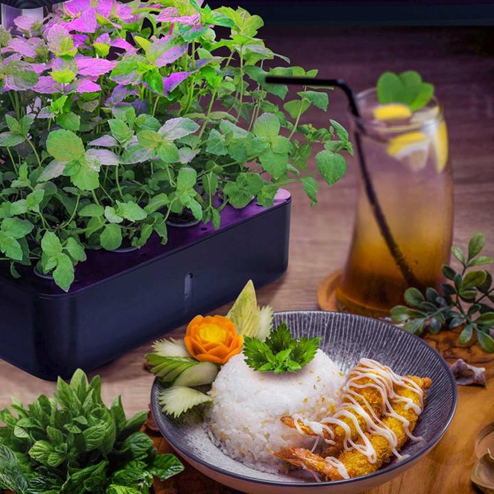 Actual product image Litrax ROBIN Smart Garden 12 (35 x 26 x 30 cm)