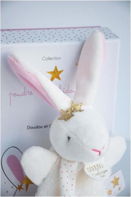 Actual product image Doudou et Compagnie Rabbit star cuddle cloth with pacifier holder15cm