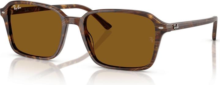 Produktbild Ray Ban Raimond