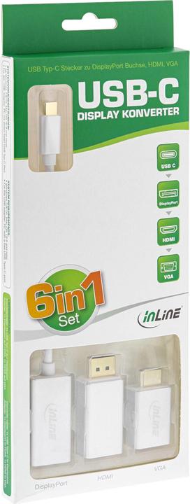 Immagine prodotto InLine Set di convertitori per display 6-in-1 (DP, 20 cm)