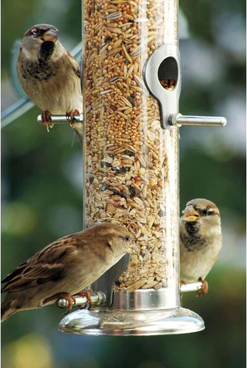 Actual product image Dobar Food dispenser